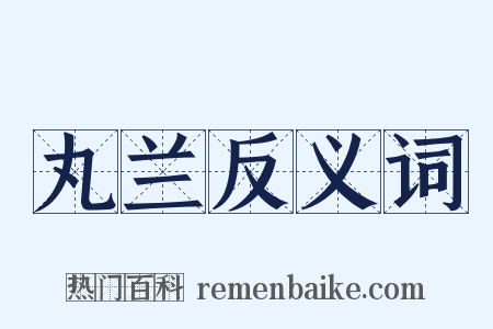 丸兰反义词是什么意思的图片